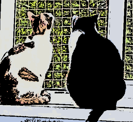 Metaxza and Zvonek preparing social posts