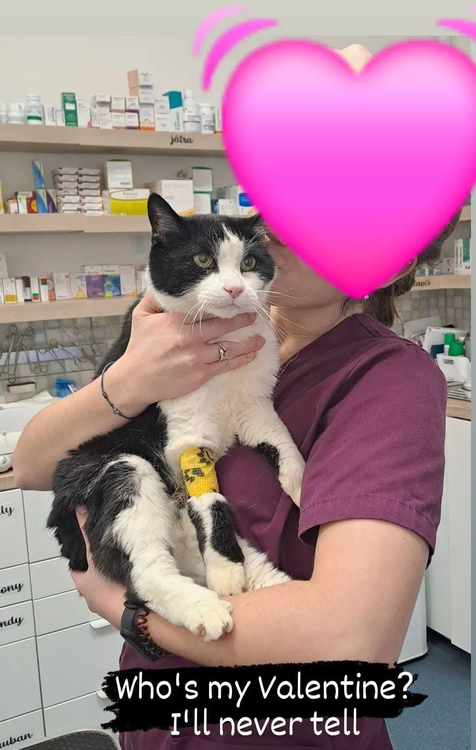 Zvonek with his Valentine